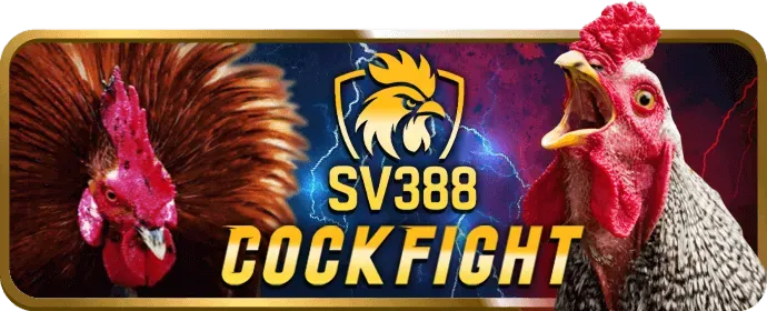 Hỗ trợ khách hàng 58win 24/7